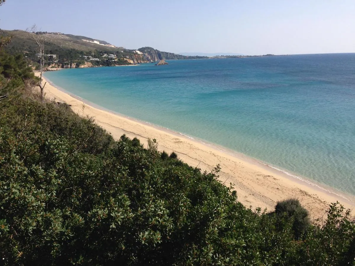 Villaparadiso Beach Front Villa Makris Gialos Argostoli   Argostoli (Kefalonia)